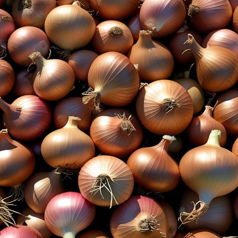 show 1472 x 832 pixle image for bulk onion